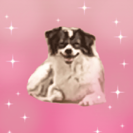 Meus pets são doidos 19