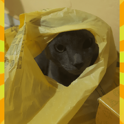 Meus pets são doidos 12