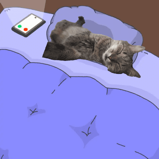 Meus pets são doidos 23