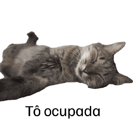 Meus pets são doidos 24