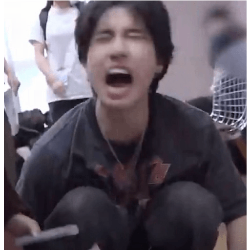 HAN 4