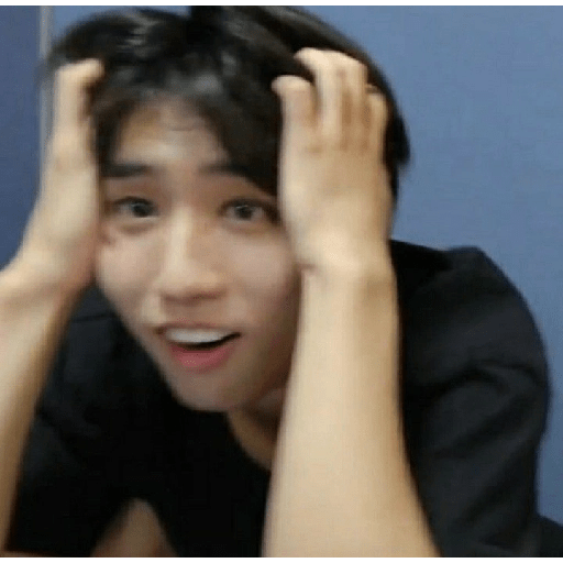HAN 10