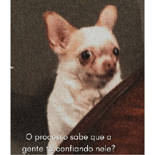 Meme interno 6