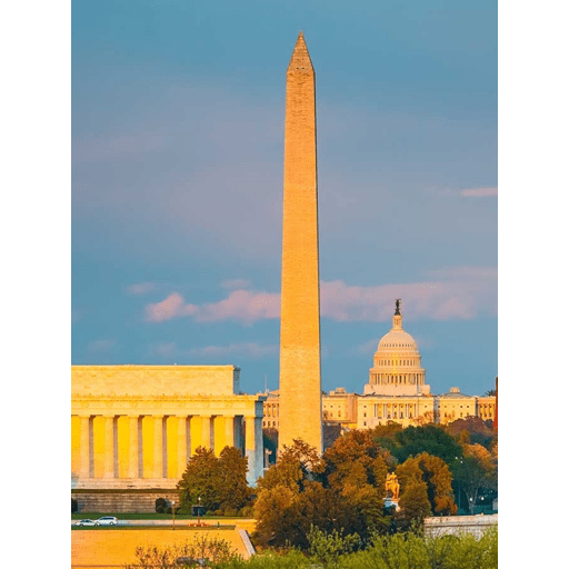 United States of America 11