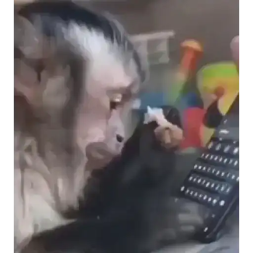 Monitos🥰❤️💗💖💕✨ 🪄🙈  8