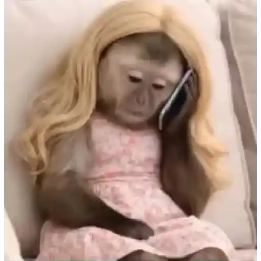 Monitos🥰❤️💗💖💕✨ 🪄🙈  4