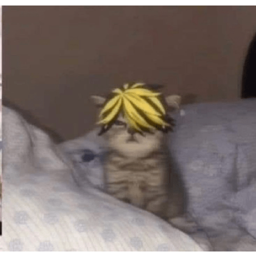 Estiker de Gatos Otakus 2
