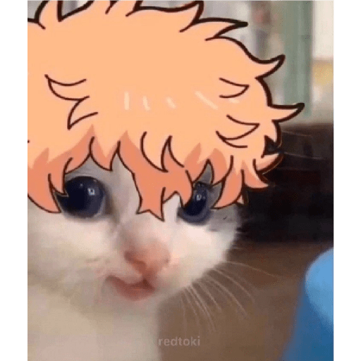 Estiker de Gatos Otakus 18