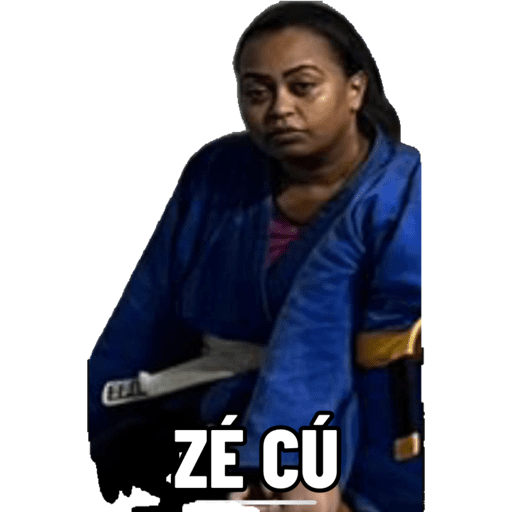Minhas figurinhas 11