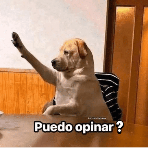 Pani perros 7 27