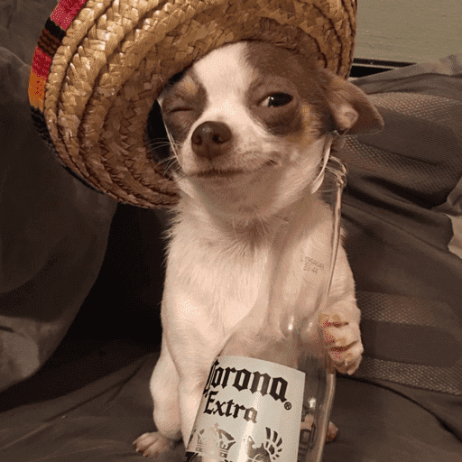 Pani perros 7 30