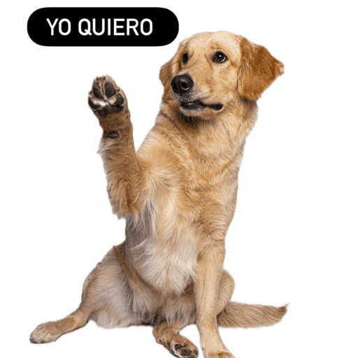 Pani perros 7 6