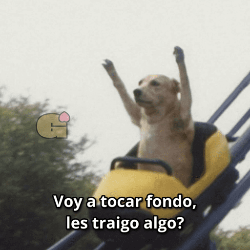 Pani perros 7 5