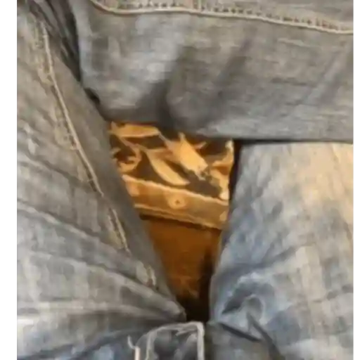 Pani perros mov 3 11