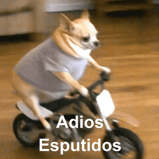 Pani perros 14