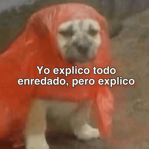 Pani perros 10 8