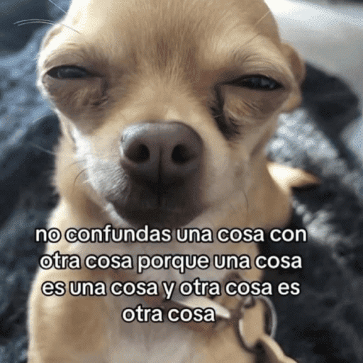 Pani perros 10 5