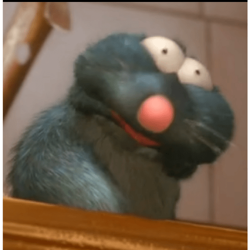 Hola 12
