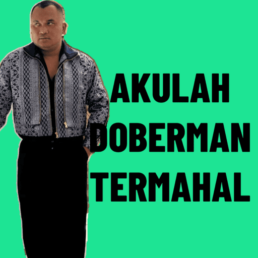 My stickers 17