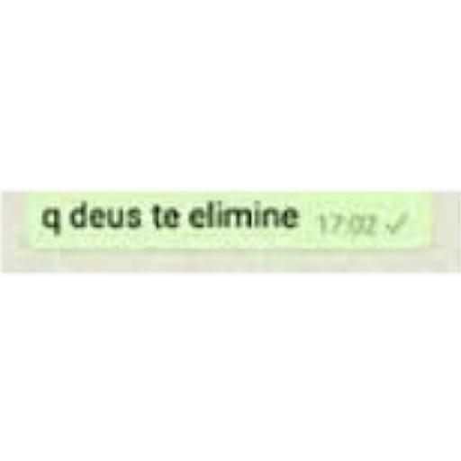 Mestre dos magos 30