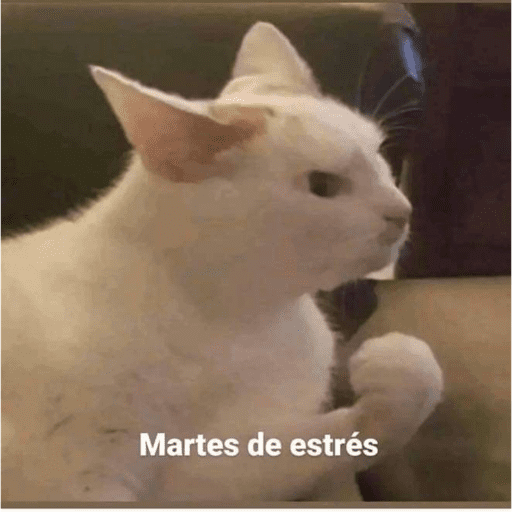 Semana 1