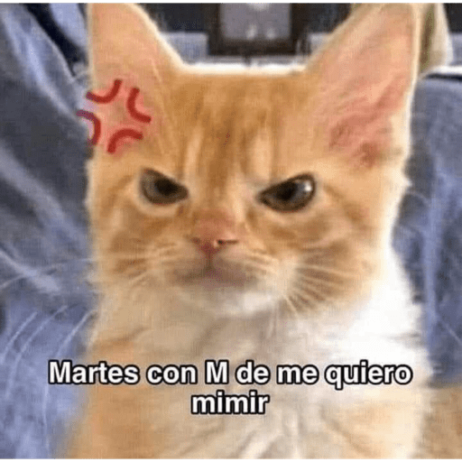 Semana 3