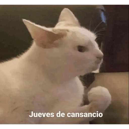Semana 2