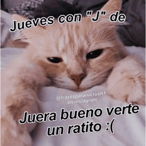 Semana 9