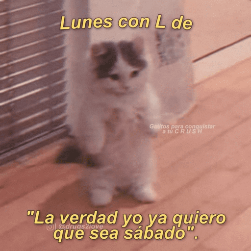 Semana 5