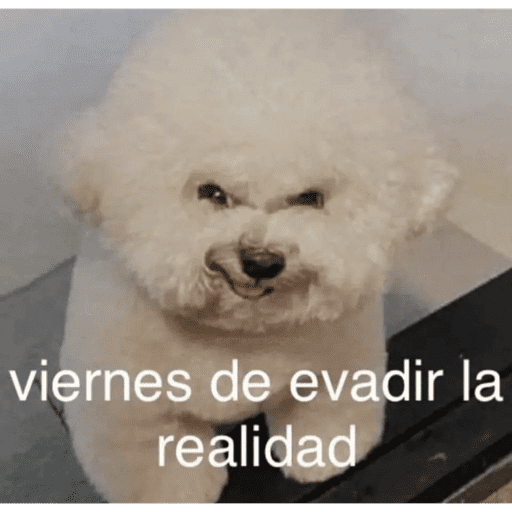 Semana 6