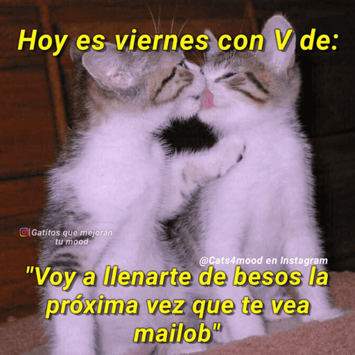 Semana 8