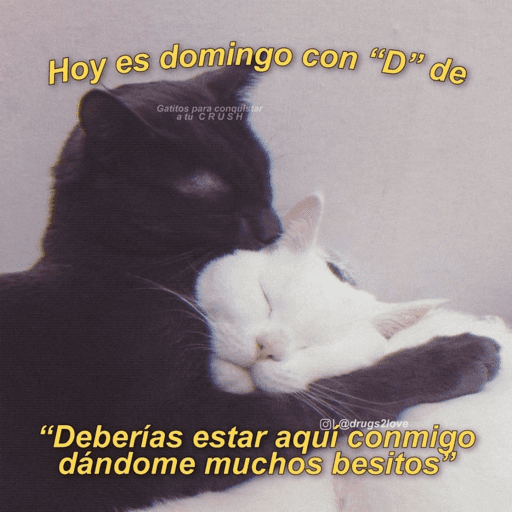 Semana 10