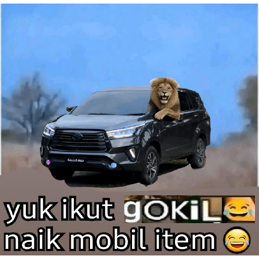 Jomok 12