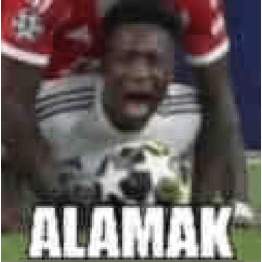 Jomok 8