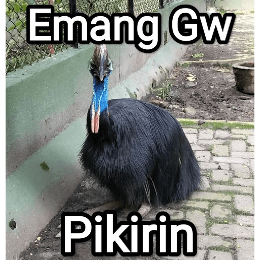 Stiker meme teks 22