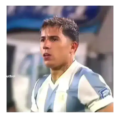 Enzo Fernandez ⚽🇦🇷 11