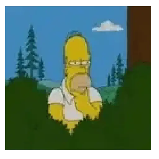 Homero Simpson 💛 4