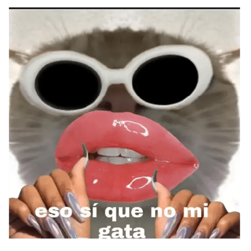 Memes 🤪🗯️ 4
