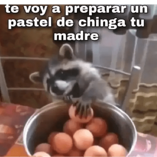 Memes 🤪🗯️ 3