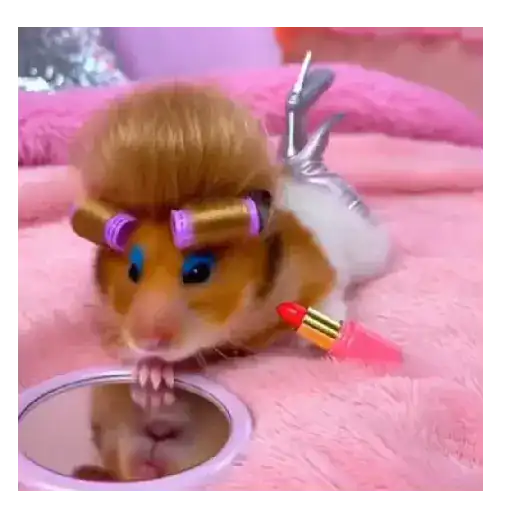 Hamster maquillándose 🐭🖌️💋
