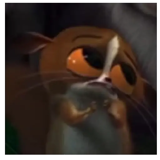Mort Madagascar 🥹♥️