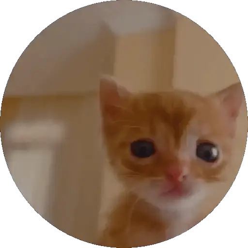 Gatos, gatitos tiernos 🐱❤️ 9