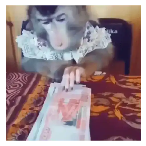 Monos que Representan 🐵 1