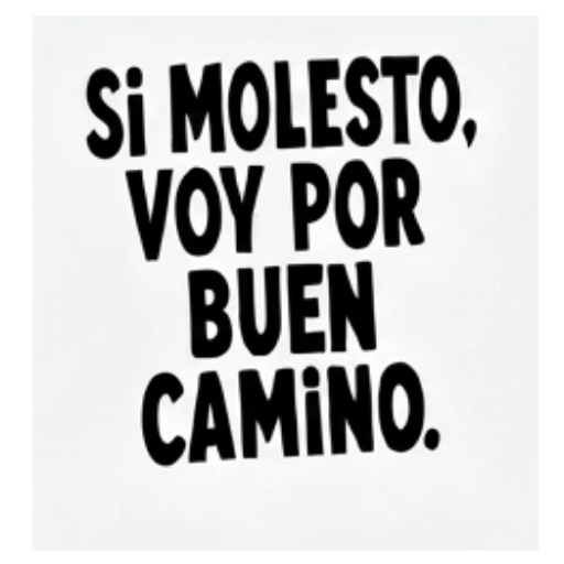 Texto Brat Frases 🗯️✍️ 17