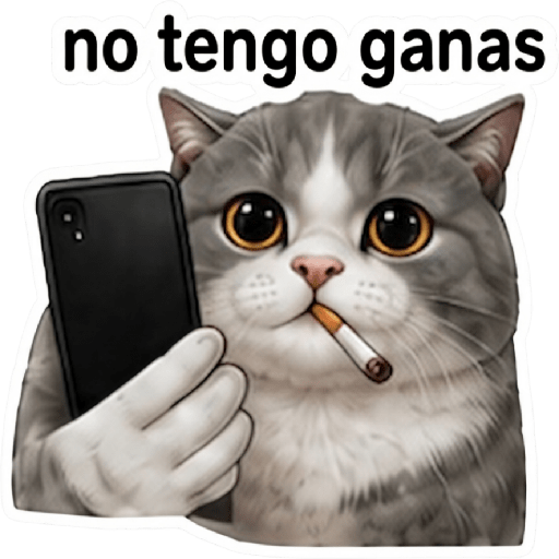 Gatos Meme Reaction 😻🙀 8