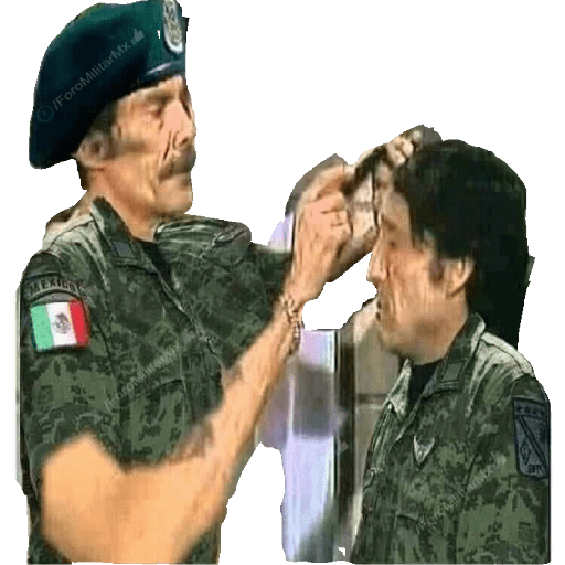 Ejército mexicano 14