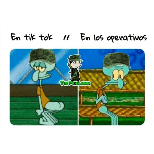 Ejército mexicano 12