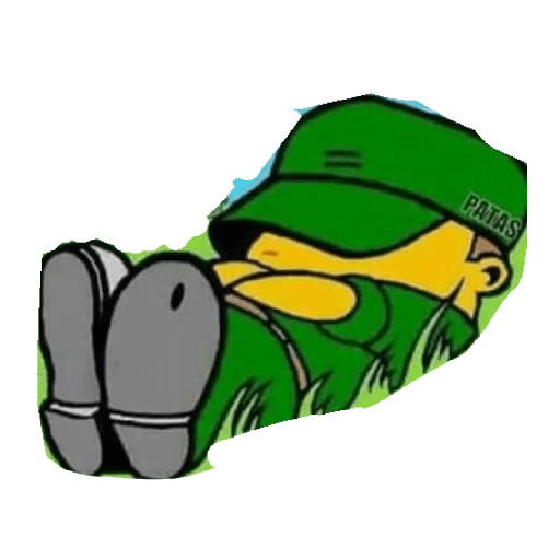Ejército mexicano 15