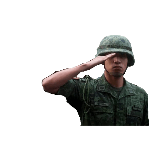 Ejército mexicano 2