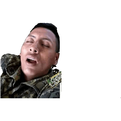 Ejército mexicano 6